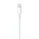 Apple Lightning to USB Cable (2 m) image 3
