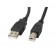 Lanberg CA-USBA-10CC-0050-BK USB cable 5 m USB 2.0 USB B Black image 1