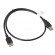 Lanberg CA-USBE-10CC-0007-BK USB cable 0.7 m USB 2.0 USB A Black paveikslėlis 2