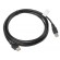 Lanberg CA-USBE-10CC-0030-BK USB cable 3 m USB 2.0 USB A Black image 1