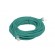 Patchcord UTP Lanberg PCU5-10CC-0500-G (RJ45 - RJ45 ; 5m; U/UTP; 5e; green color) image 2