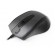 A4Tech N-500F mouse Right-hand USB Type-A V-Track 1600 DPI image 3