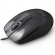 Extreme XM110K mouse USB Type-A Optical 1000 DPI Right-hand фото 1