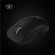 Logitech G PRO X SUPERLIGHT Wireless Gaming Mouse paveikslėlis 5