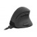 NATEC Wireless Mouse Euphonie 2400DPI black image 2