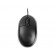 Tracer TRAMYS45906 mouse Right-hand USB Type-A Optical 800 DPI paveikslėlis 2