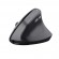 Trust Bayo II mouse Right-hand RF Wireless Optical 2400 DPI image 1