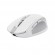 Trust Ozaa mouse Right-hand RF Wireless + Bluetooth Optical 3200 DPI paveikslėlis 1