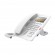 Fanvil H5 Biały | Telefon VoIP | HD Audio, RJ45 100Mb/s PoE, wyświetlacz LCD, desktop image 1