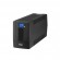 FSP iFP 600 uninterruptible power supply (UPS) Line-Interactive 0.6 kVA 360 W 2 AC outlet(s) фото 1