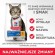 HILL'S SP Adult Oral Care Chicken - dry cat food - 7kg paveikslėlis 2