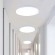 Maclean MCE144 Ceiling lamp Wall light IP66 Interior Exterior image 4