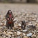 schleich Hagrid & Fang image 4