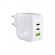 65W GaN GC PowerGan charger for Laptop, MacBook, Phone, Tablet, Nintendo Switch | 2xUSB-C | USB-A